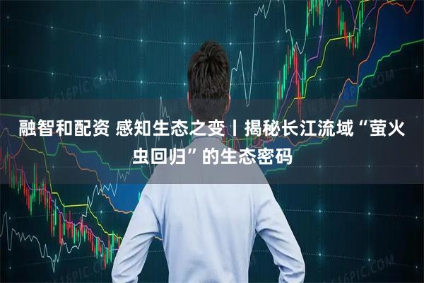 融智和配资 感知生态之变丨揭秘长江流域“萤火虫回归”的生态密码