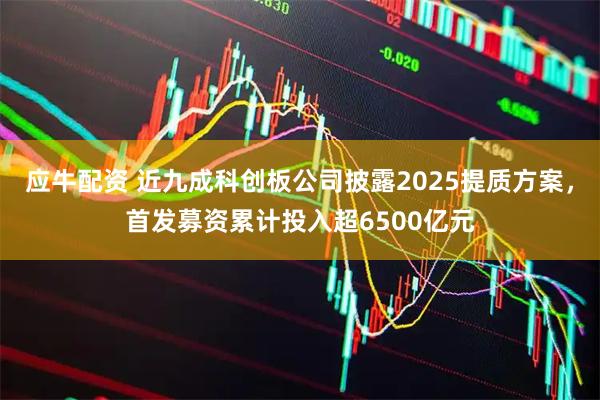 应牛配资 近九成科创板公司披露2025提质方案,首发募资累计投入超6500亿元