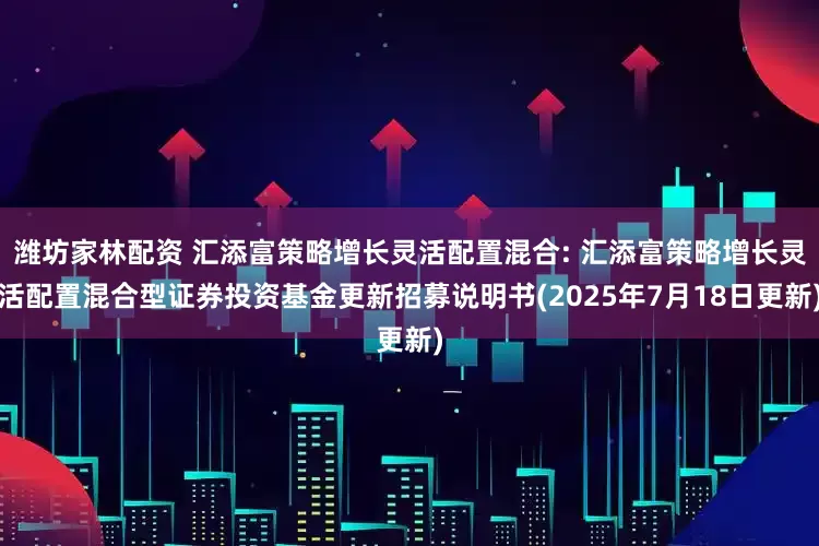 潍坊家林配资 汇添富策略增长灵活配置混合: 汇添富策略增长灵活配置混合型证券投资基金更新招募说明书(2025年7月18日更新)