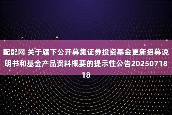 配配网 关于旗下公开募集证券投资基金更新招募说明书和基金产品资料概要的提示性公告20250718